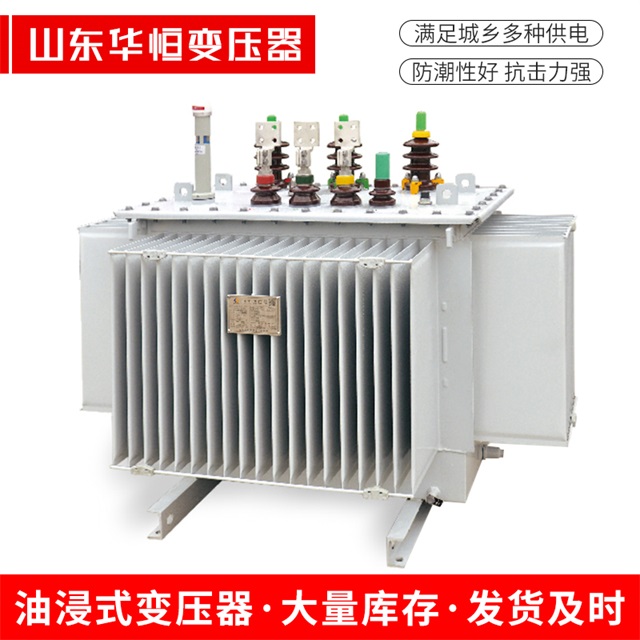 S13-10000/35双河双河双河电力变压器